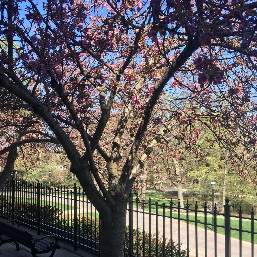 Meet your Posher, Sasha